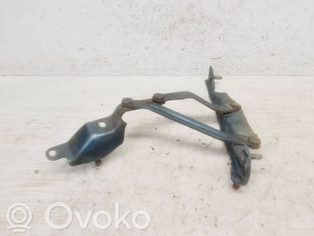 Fiat Multipla Engine bonnet/hood hinges 