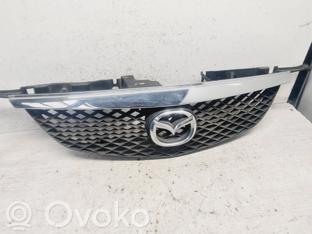Front grill   C10050712