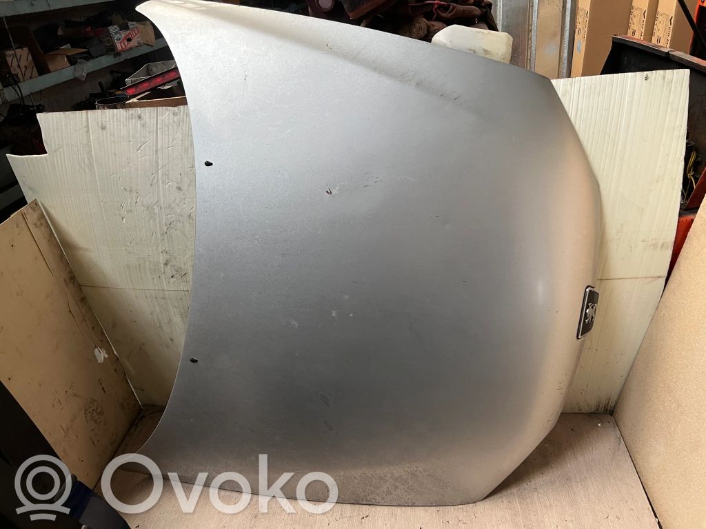Engine bonnet/hood