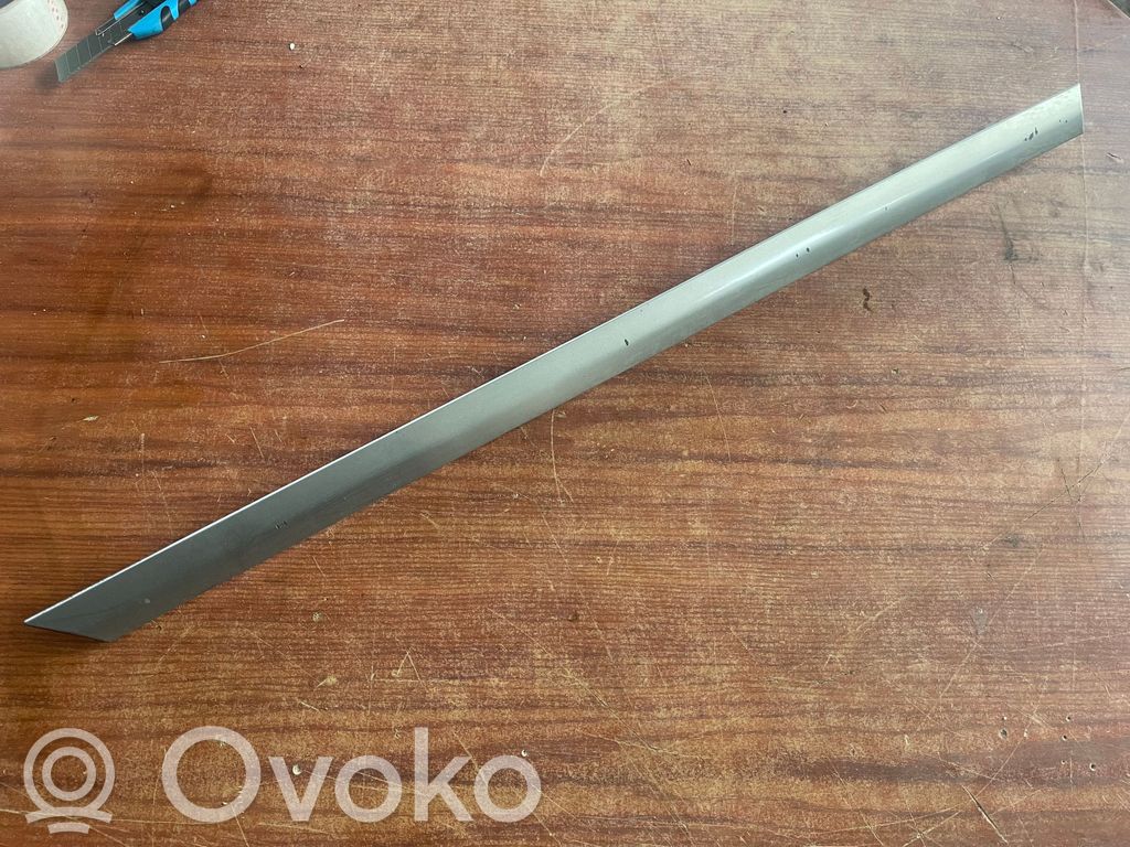 Listwa drzwi tylnych   13101651