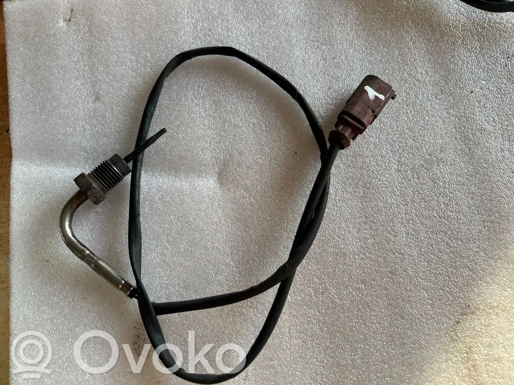 Volkswagen Tiguan Exhaust gas temperature sensor 