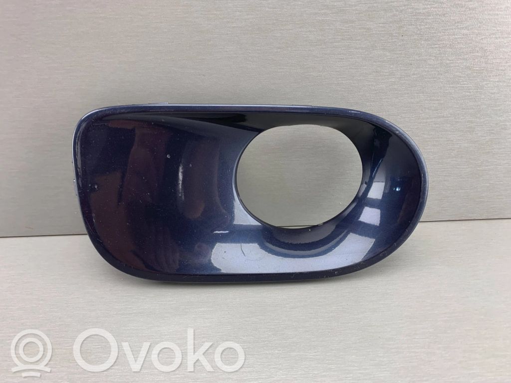 BMW X5 E53 Verkleidung Nebelscheinwerfer / Gitter vorne 