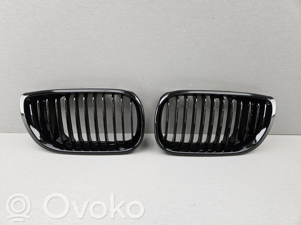 BMW 3 E46 Oberes Gitter vorne 