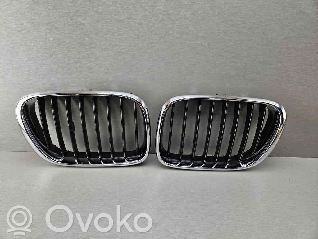 BMW X5 E53 Front bumper upper radiator grill 