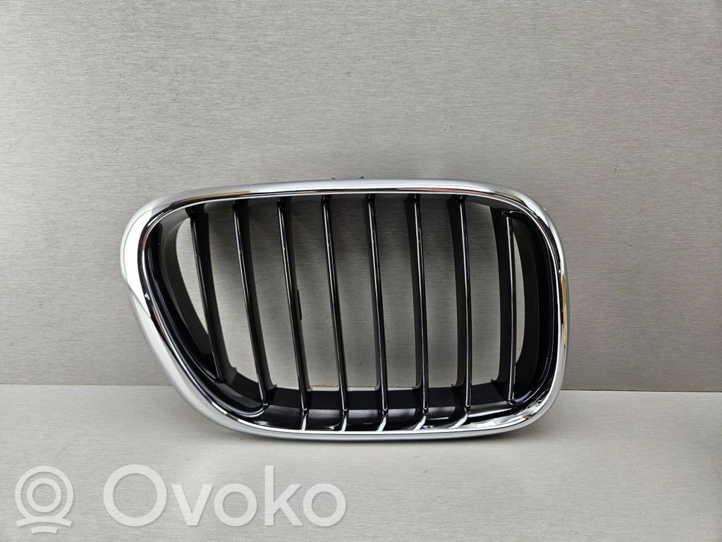 BMW X5 E53 Front bumper upper radiator grill 