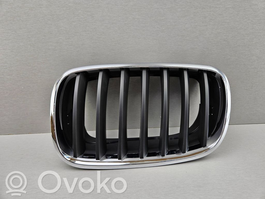 BMW X5 E70 Front bumper upper radiator grill 