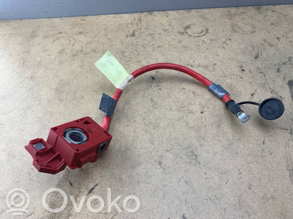 BMW 3 E90 E91 Pliusinis laidas (akumuliatoriaus) 