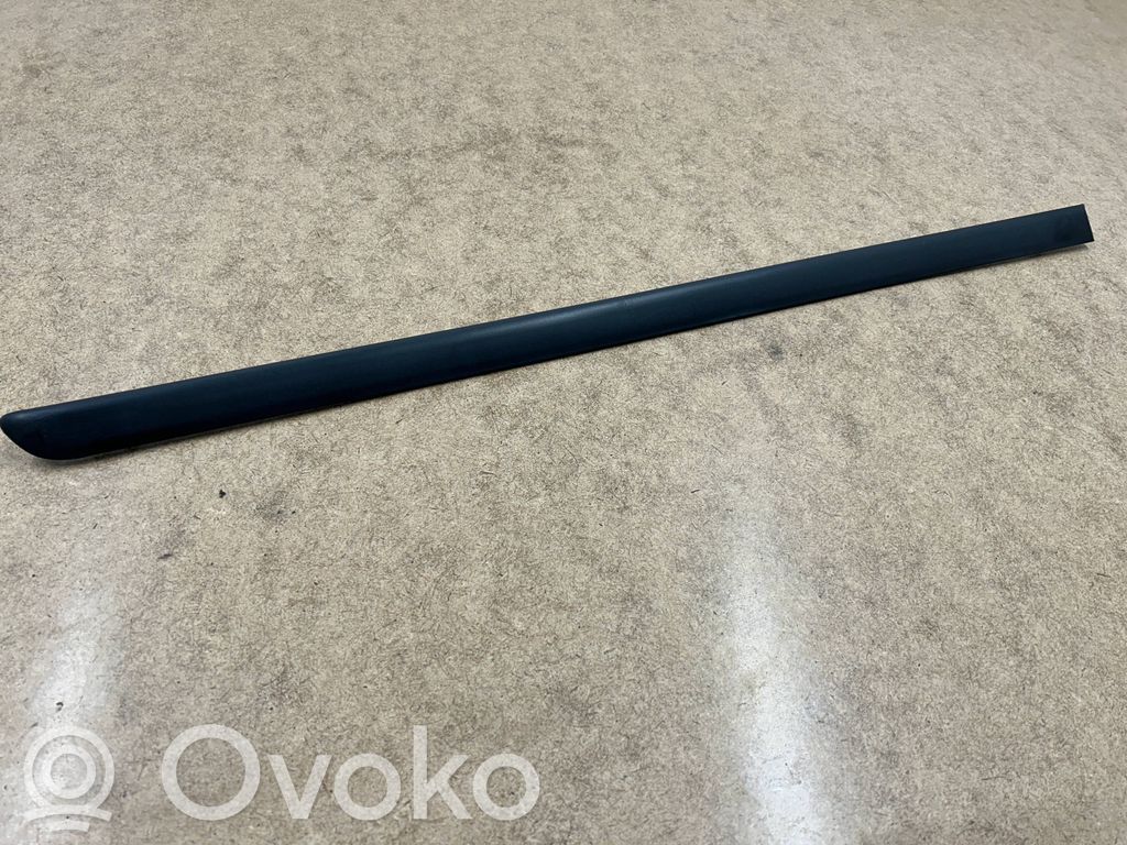 BMW 3 E46 Rear door trim (molding) 