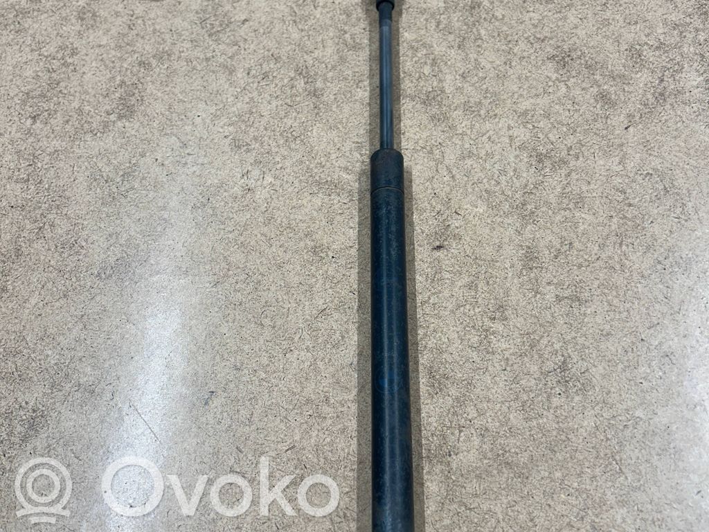 Tailgate/trunk strut/damper   51248254281,8254281
