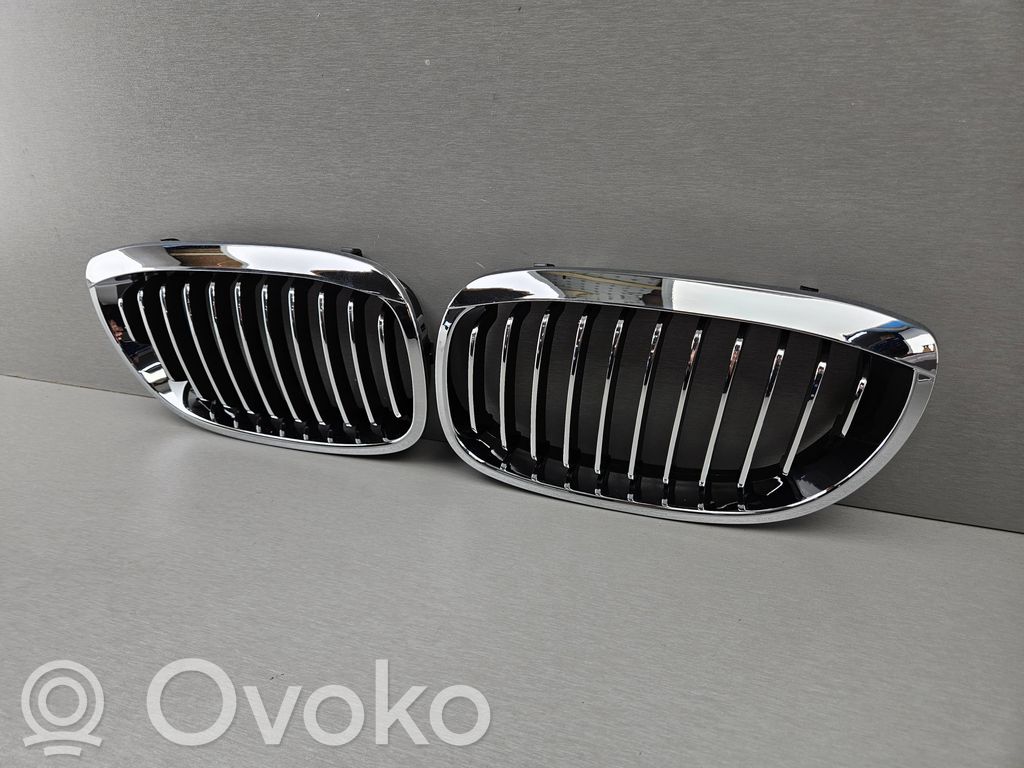 BMW 3 E46 Oberes Gitter vorne 