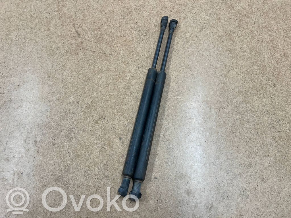 Tailgate/trunk strut/damper   51248254281,8254281