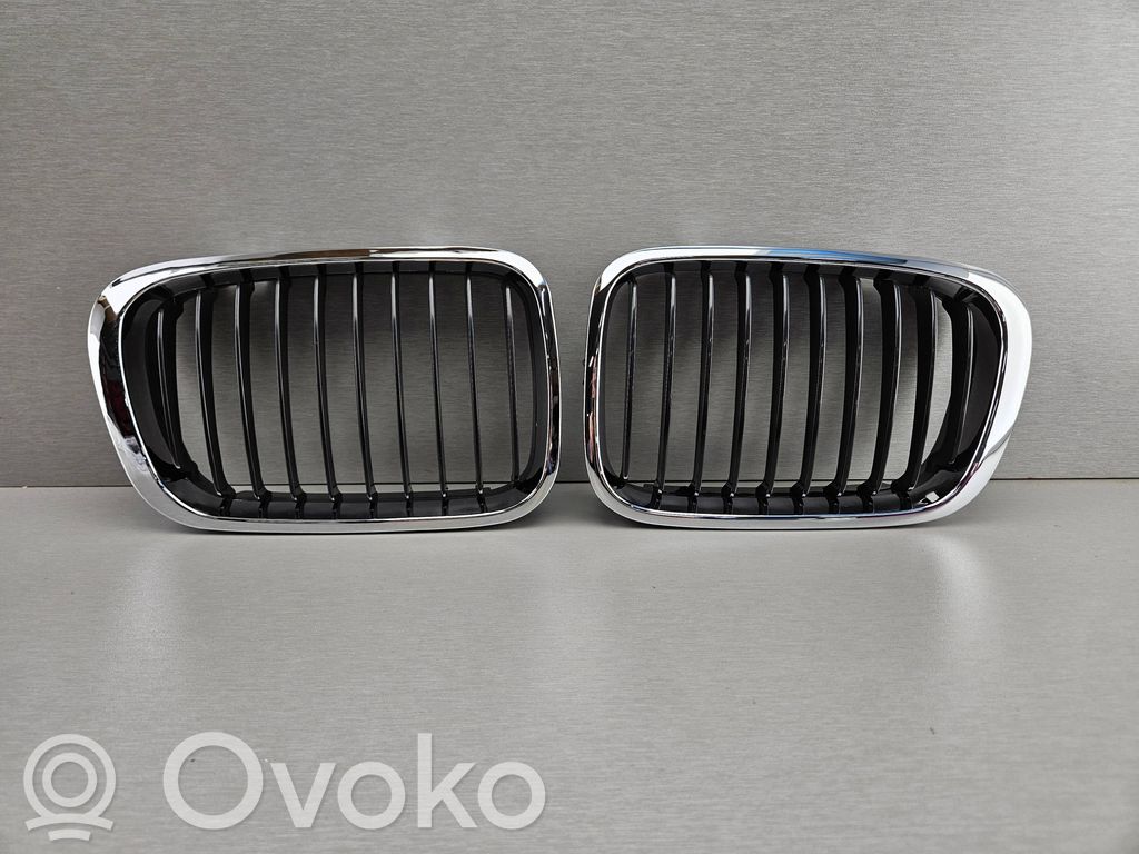 BMW 3 E46 Augšējais režģis 