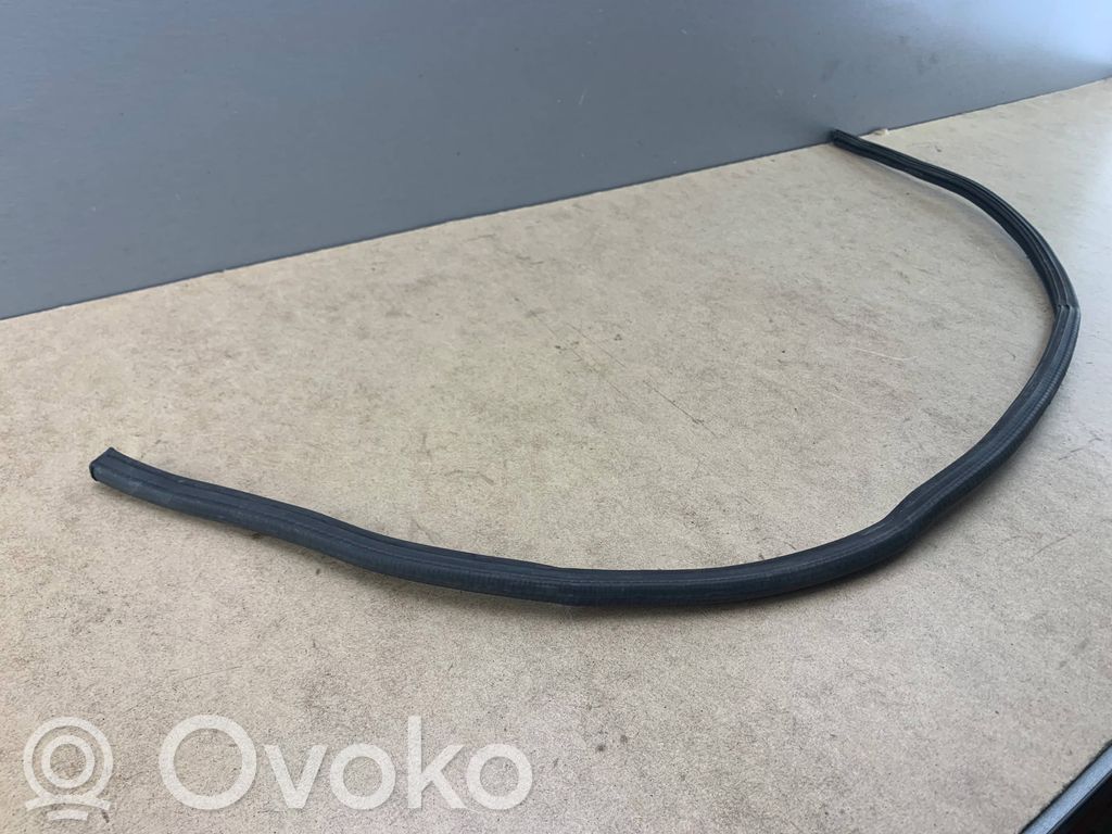 Goma del compartimiento del motor   6935369,64316935369