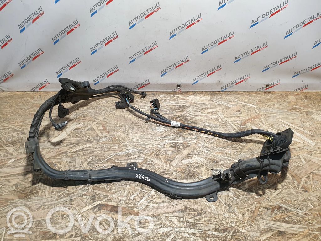 BMW X6 E71 Other wiring loom 