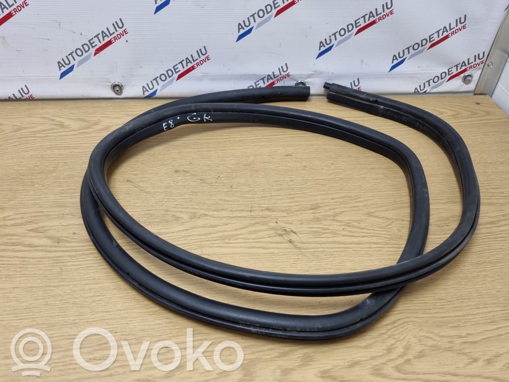 BMW X1 E84 Gumowa uszczelka drzwi tylnych / na karoserii 