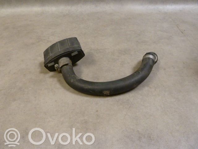 BMW 3 E46 Secondary air pump 
