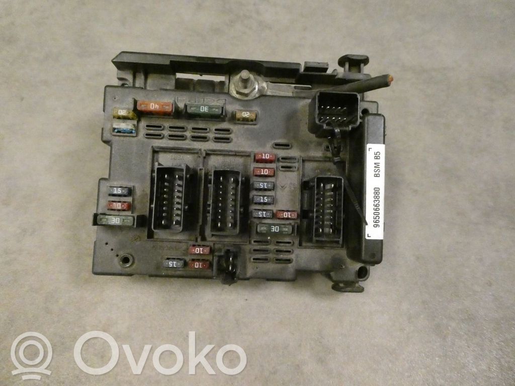Peugeot 307 Fuse module 