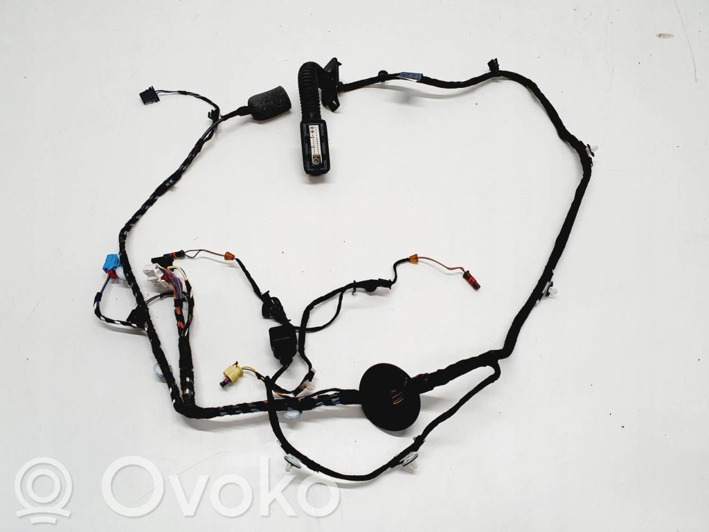 Cableado de puerta delantera   8W0971029DC,28062019,TAB010403EA