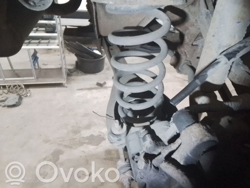 Rear coil spring   1874851