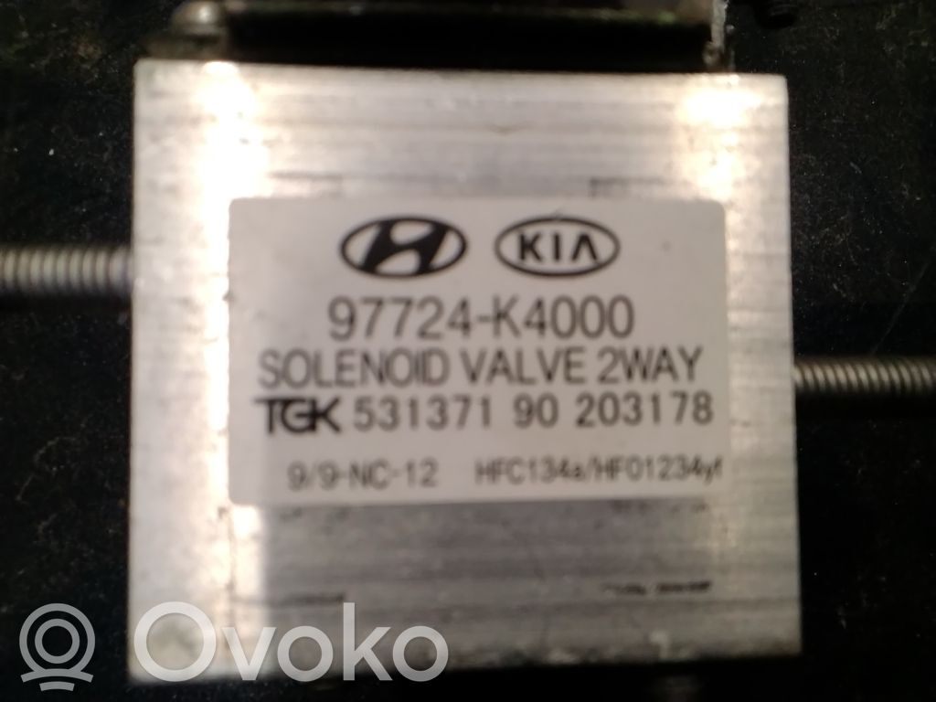 Autres unités de commande / modules   97724K4000