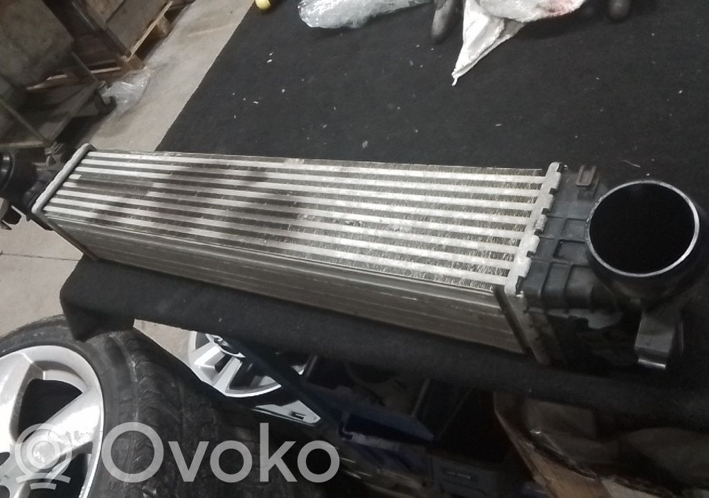 Intercooler radiator   39185908