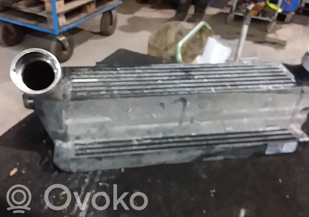 Intercooler radiator   17517800682
