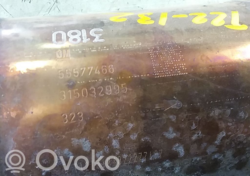 Catalyst/FAP/DPF particulate filter   55577466