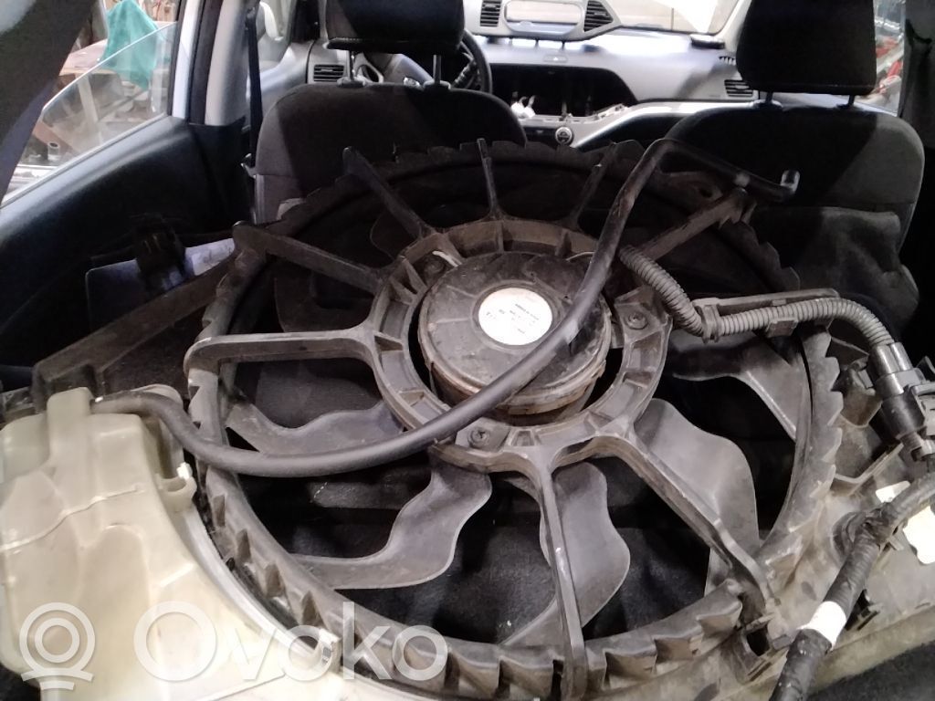 Elektrisks radiatoru ventilators   253801Y050