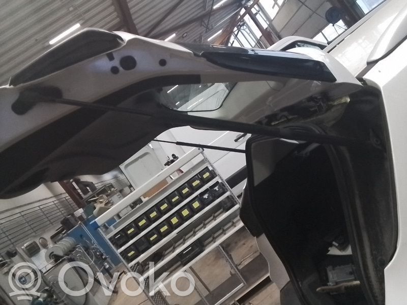 Tailgate/trunk strut/damper   2065246