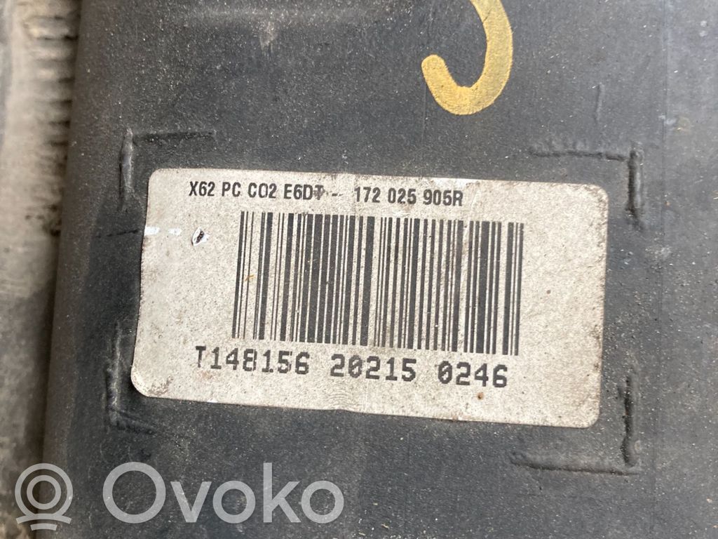 Polttoainesäiliö   172025905R