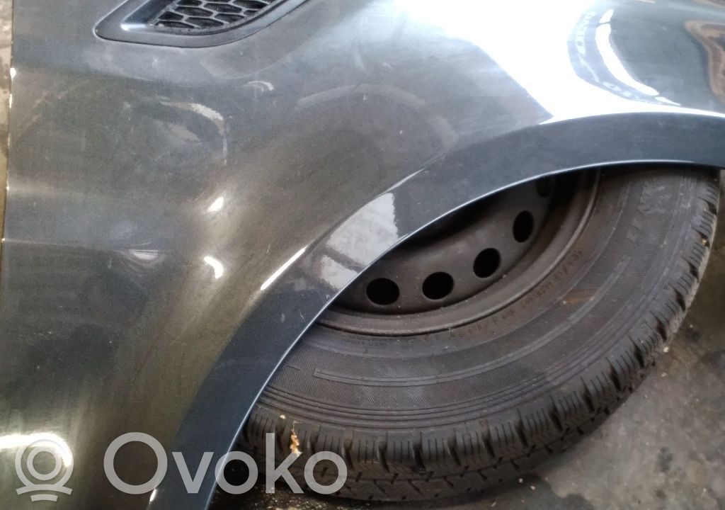 Guardabarro   FK6216005AA