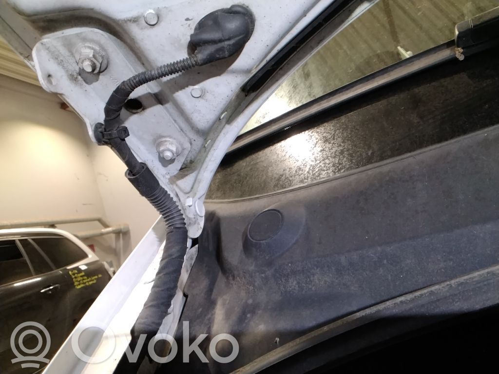 Volkswagen Crafter Balamale capotă 