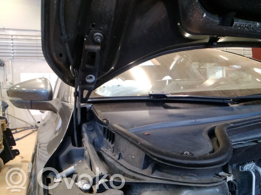 Ford Focus Dzinēja pārsega eņģe (-es) 