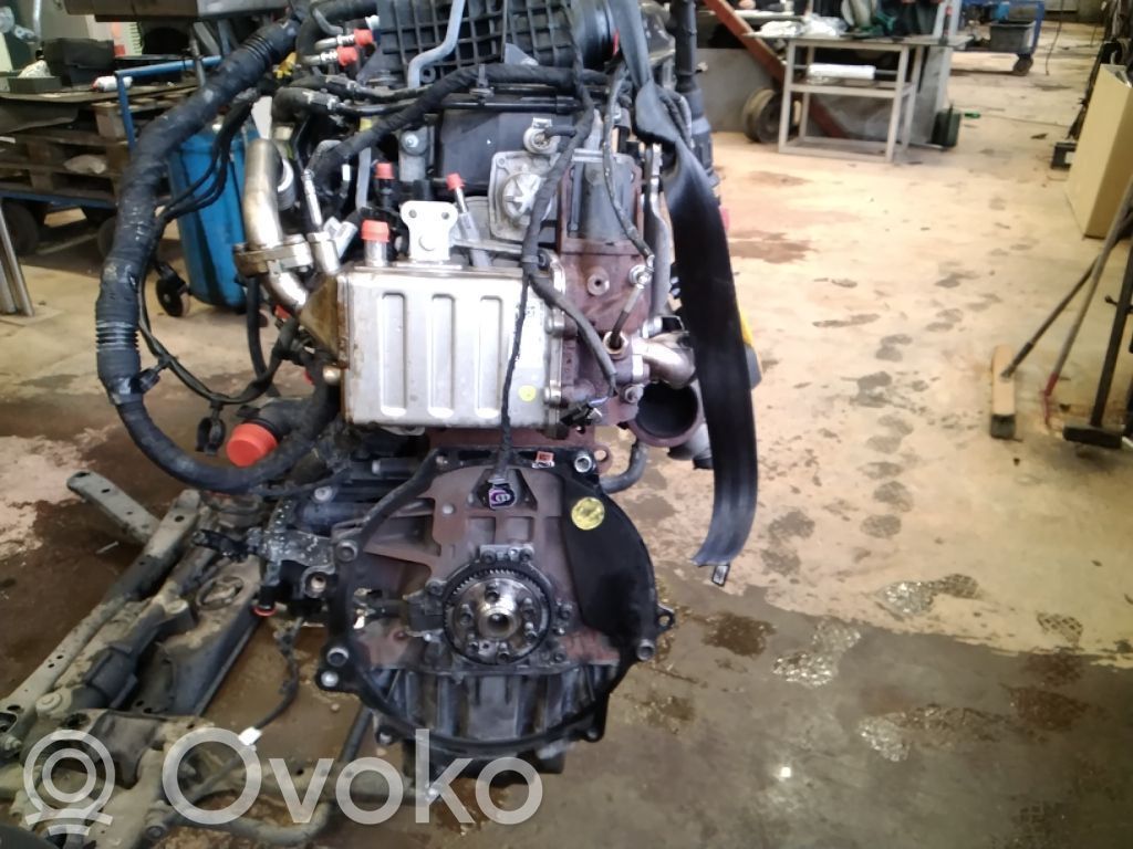 Motor