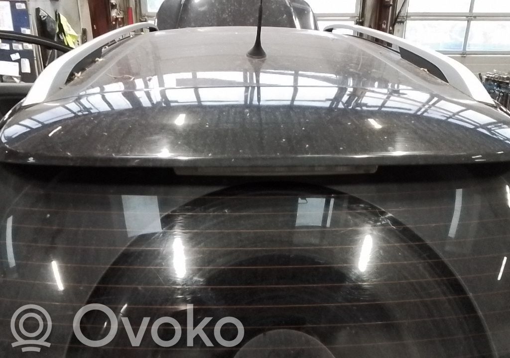 Tailgate/trunk spoiler   8742S7