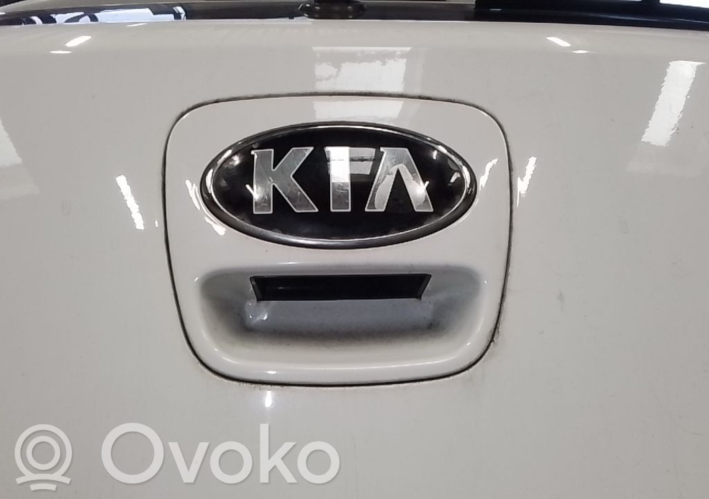 Etuoven ulkokahva   817201W220