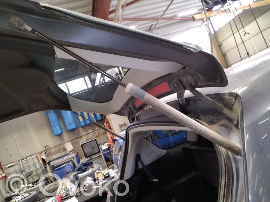 Tailgate/trunk strut/damper   1683642