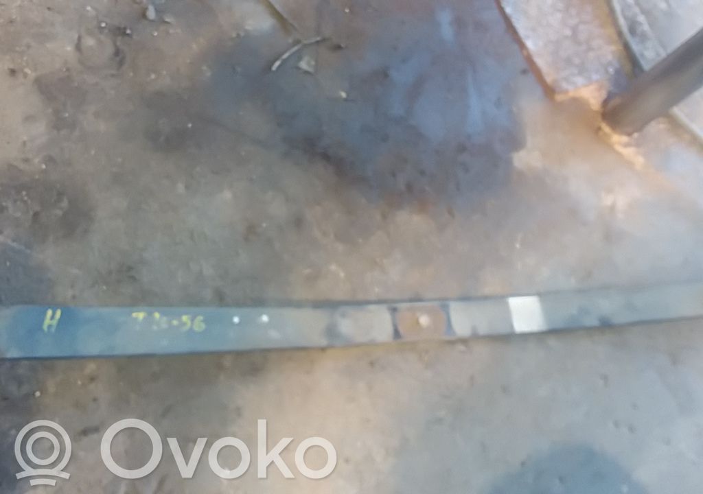 Galinė lingė   5102EY