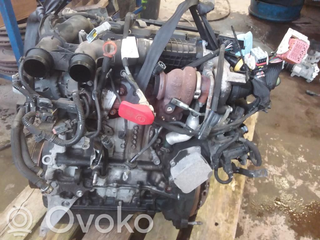 Motor   0135SW