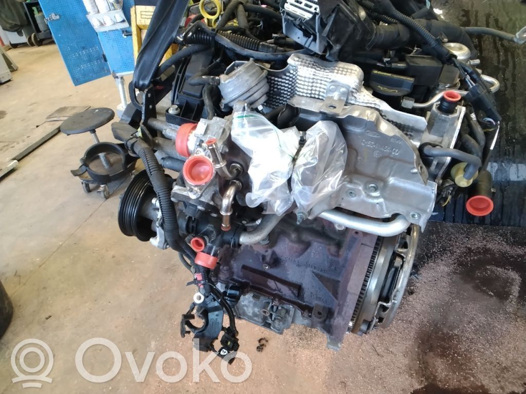 Ford Fiesta Dzinējs 