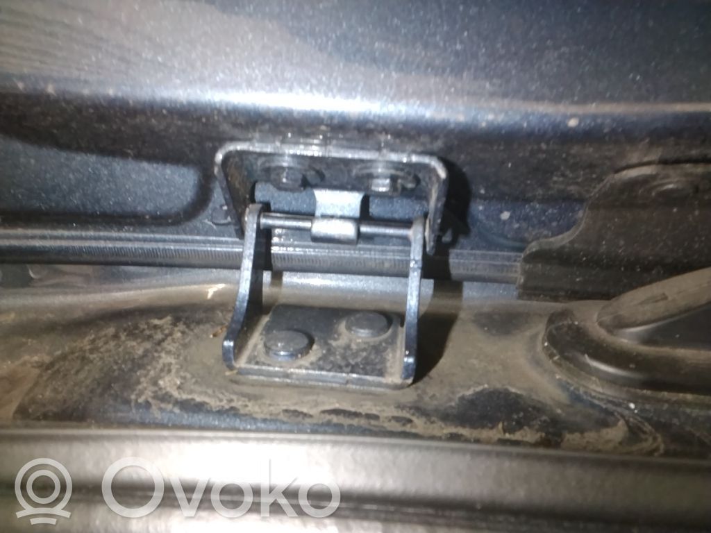 Pritraukėjas galinio dangčio   2703851