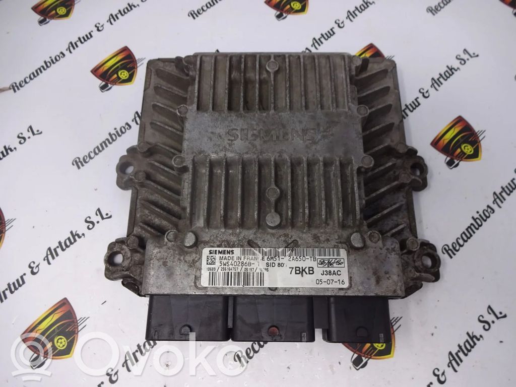 Ford S-MAX Vairo stiprintuvas (elektrinis) 