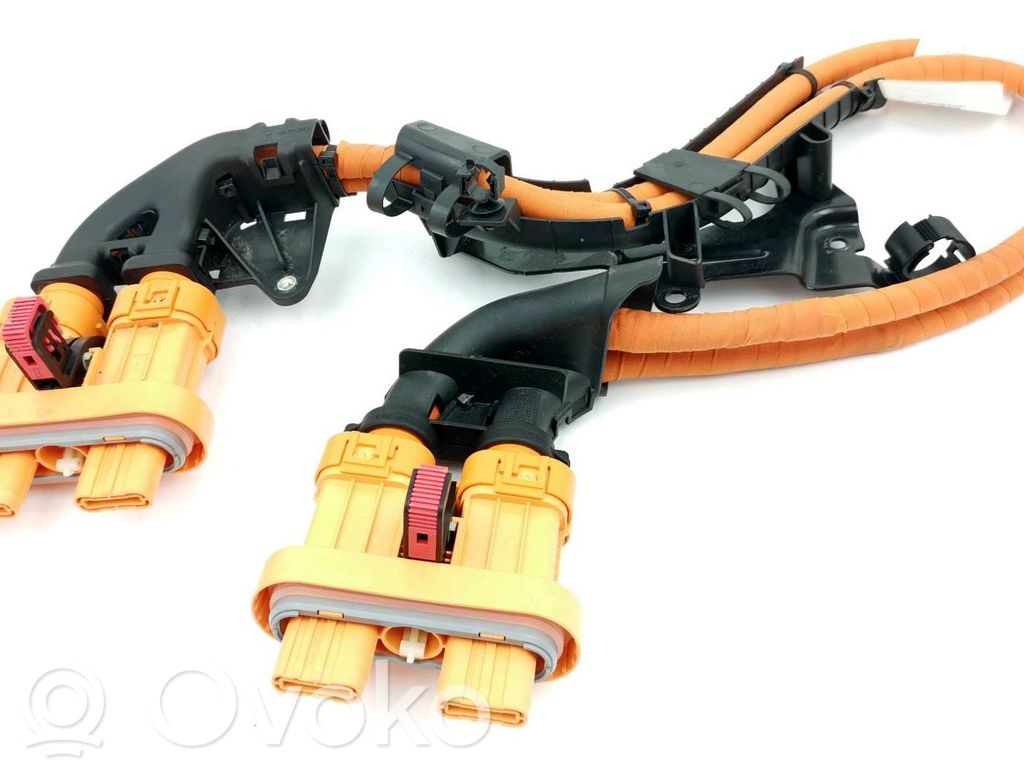 Mazo de cables   1EA971015AB,1EA971015AB