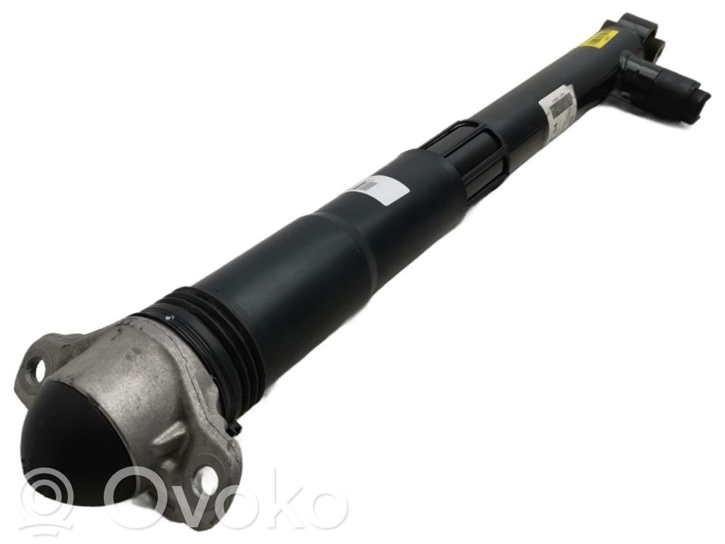 Cupra Leon Stoßdämpfer hinten 