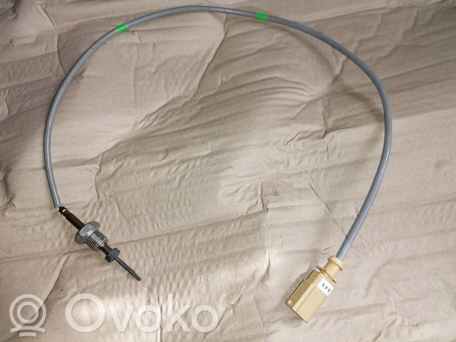 Abgastemperatursensor   04L906088EC