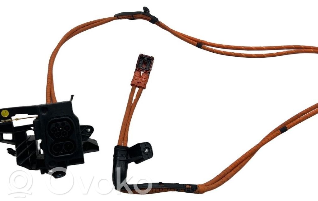 Mazo de cables   5FF971531,5FF971531,1N3972510A,1N3972610A,5FF971509A,5FF971509B,5FF971531,5WA915564A