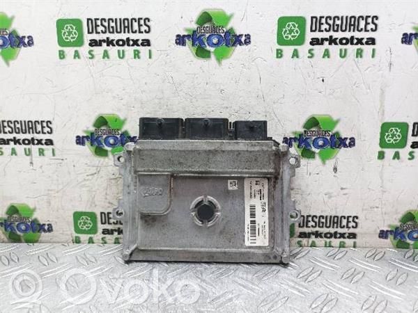 Engine control unit/module ECU   NFP