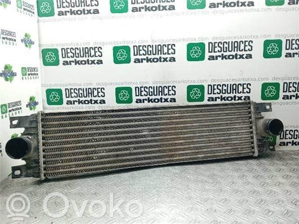 Intercooler radiator   S9W,859923XIA1006