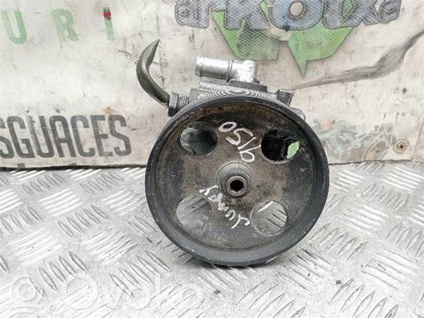 Power steering pump   RHZ