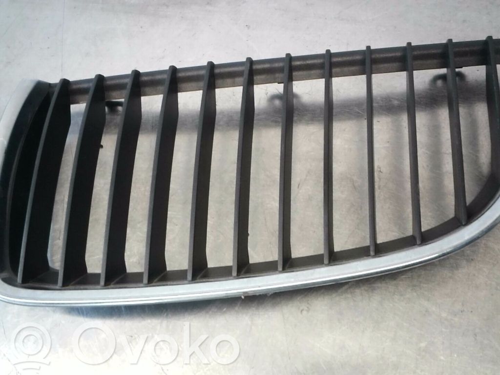 Rejilla delantera   51137120007
